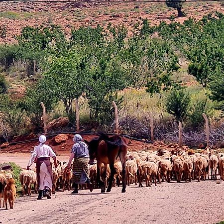 Ferme D"Hote Lala Fatima Ain Leuh Eksteriør billede