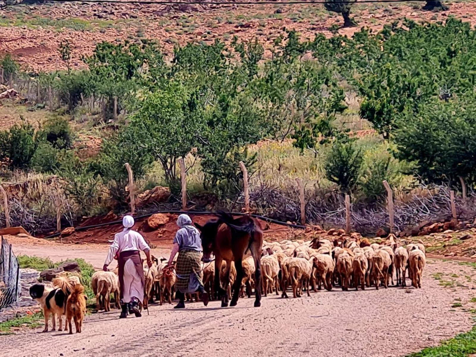 Ferme D"Hote Lala Fatima Ain Leuh Eksteriør billede